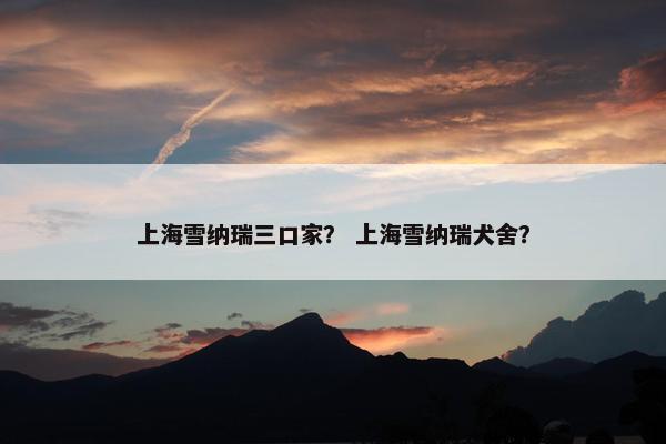 上海雪纳瑞三口家？ 上海雪纳瑞犬舍？