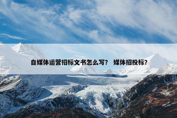 自媒体运营招标文书怎么写？ 媒体招投标？
