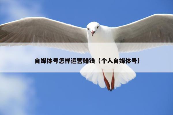 自媒体号怎样运营赚钱（个人自媒体号）