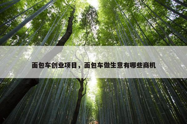 面包车创业项目，面包车做生意有哪些商机