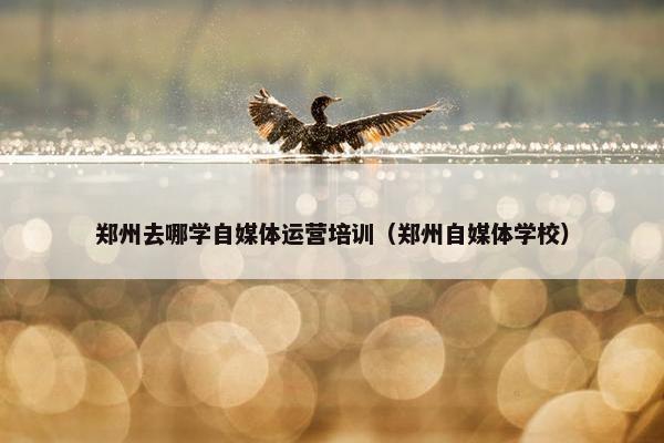 郑州去哪学自媒体运营培训（郑州自媒体学校）