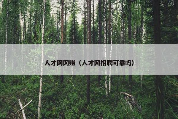 人才网网赚（人才网招聘可靠吗）