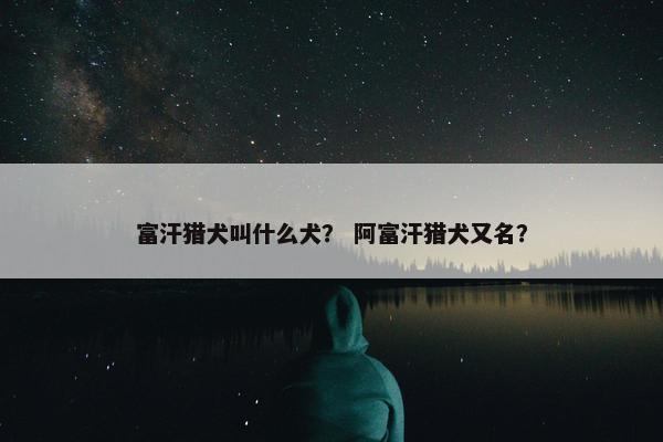 富汗猎犬叫什么犬？ 阿富汗猎犬又名？