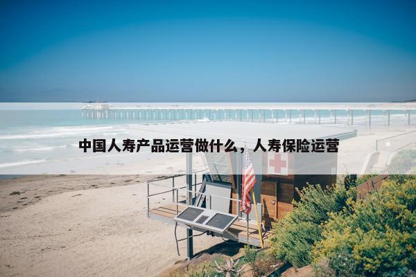 中国人寿产品运营做什么，人寿保险运营