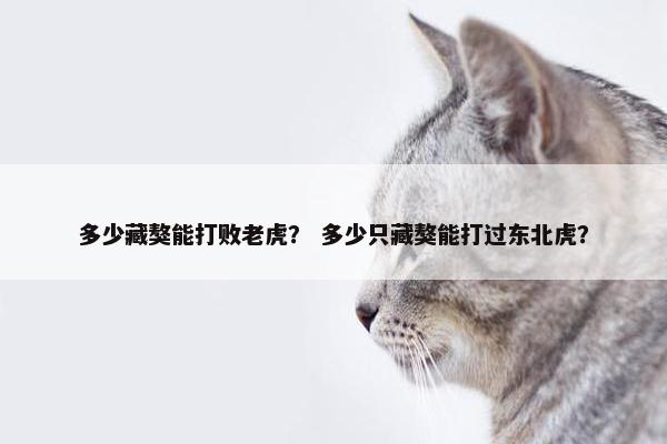 多少藏獒能打败老虎？ 多少只藏獒能打过东北虎？