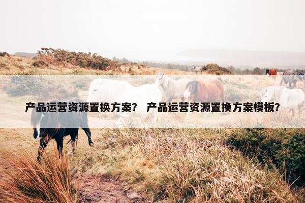 产品运营资源置换方案？ 产品运营资源置换方案模板？
