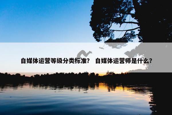 自媒体运营等级分类标准？ 自媒体运营师是什么？