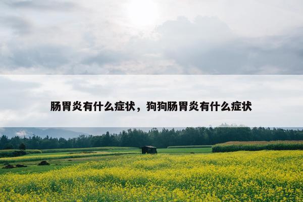 肠胃炎有什么症状，狗狗肠胃炎有什么症状