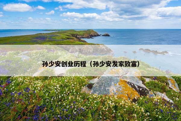 孙少安创业历程（孙少安发家致富）
