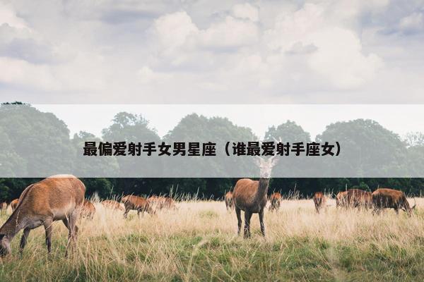 最偏爱射手女男星座（谁最爱射手座女）