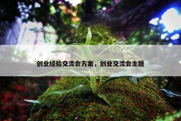 创业经验交流会方案，创业交流会主题