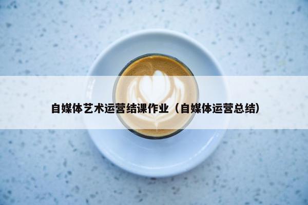 自媒体艺术运营结课作业（自媒体运营总结）