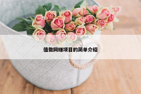 值做网赚项目的简单介绍