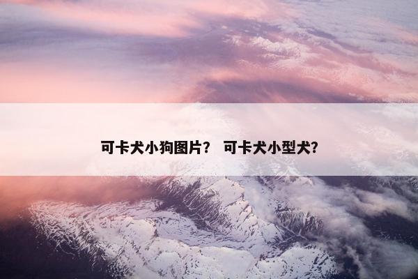 可卡犬小狗图片？ 可卡犬小型犬？