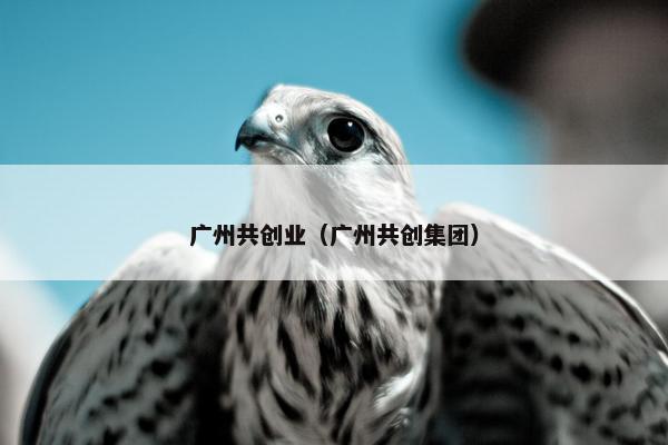 广州共创业（广州共创集团）