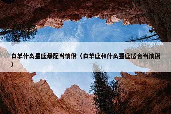 白羊什么星座最配当情侣（白羊座和什么星座适合当情侣）