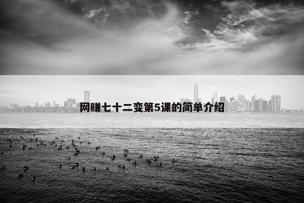 网赚七十二变第5课的简单介绍
