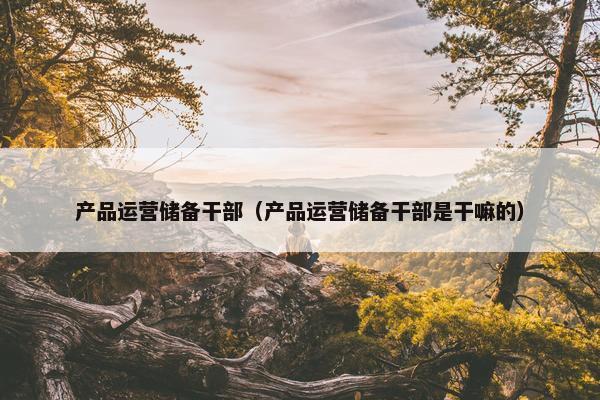 产品运营储备干部（产品运营储备干部是干嘛的）