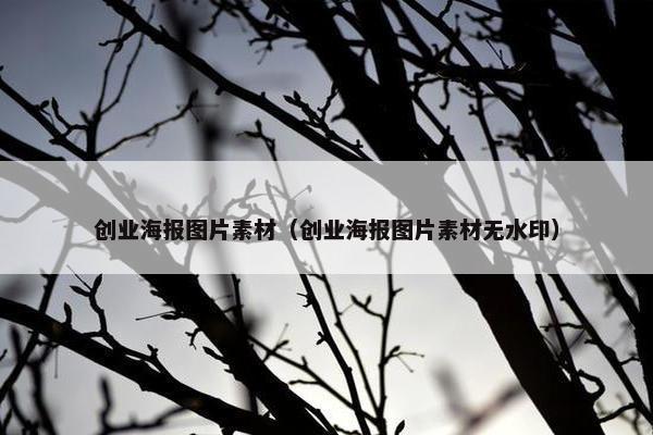 创业海报图片素材（创业海报图片素材无水印）