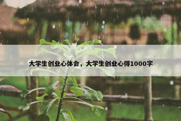 大学生创业心体会，大学生创业心得1000字