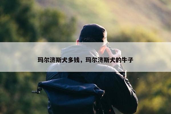 玛尔济斯犬多钱，玛尔济斯犬的牛子