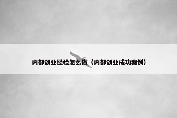 内部创业经验怎么做（内部创业成功案例）