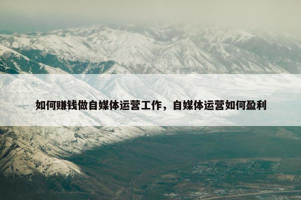 如何赚钱做自媒体运营工作，自媒体运营如何盈利