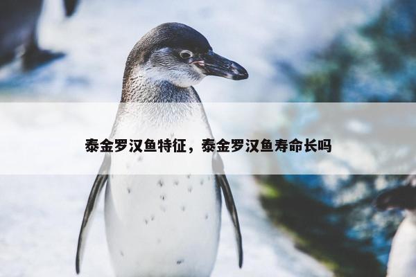 泰金罗汉鱼特征，泰金罗汉鱼寿命长吗