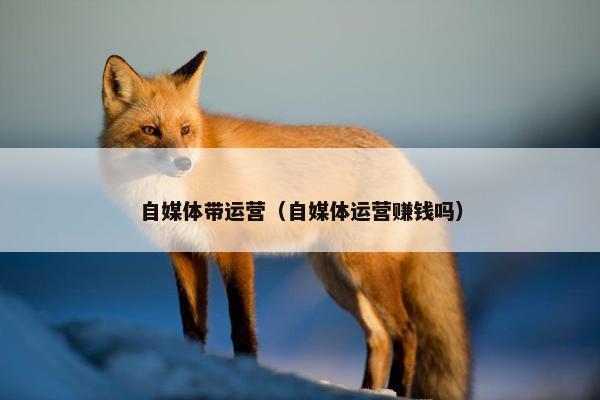 自媒体带运营（自媒体运营赚钱吗）