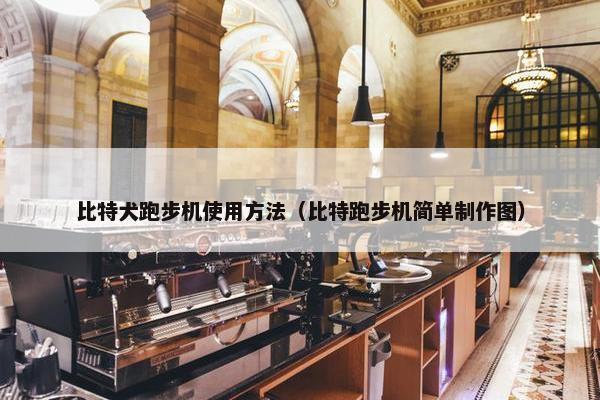 比特犬跑步机使用方法（比特跑步机简单制作图）