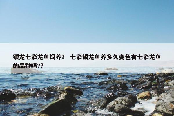 银龙七彩龙鱼饲养？ 七彩银龙鱼养多久变色有七彩龙鱼的品种吗?？