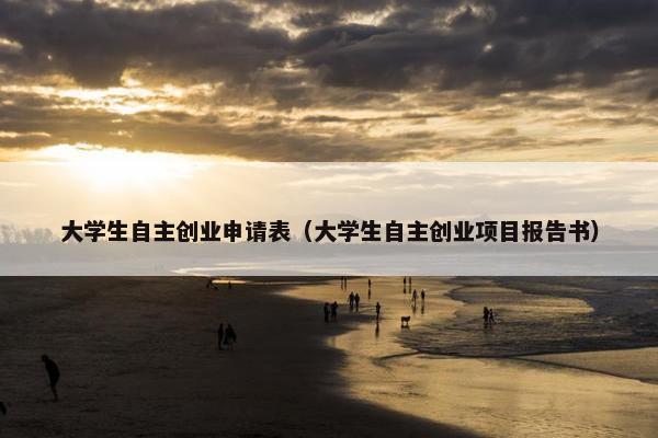 大学生自主创业申请表（大学生自主创业项目报告书）