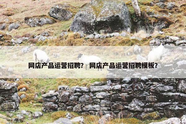网店产品运营招聘？ 网店产品运营招聘模板？