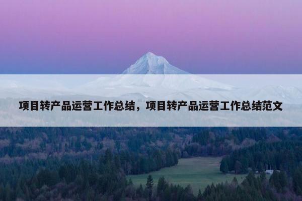 项目转产品运营工作总结，项目转产品运营工作总结范文