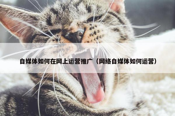 自媒体如何在网上运营推广（网络自媒体如何运营）