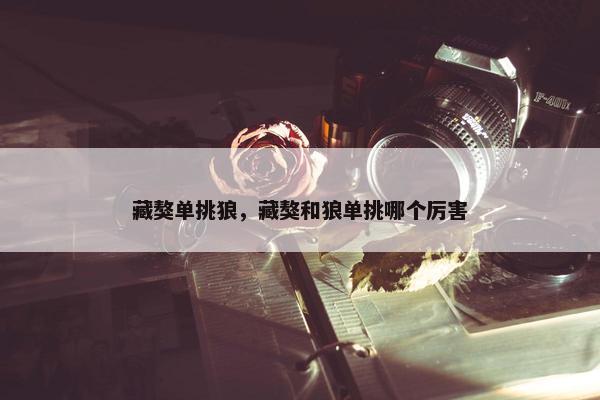 藏獒单挑狼，藏獒和狼单挑哪个厉害