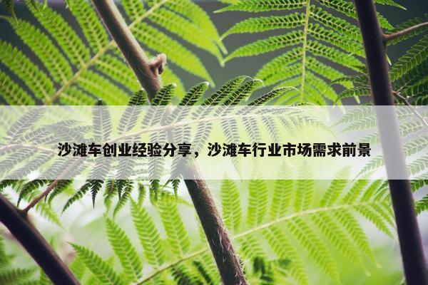 沙滩车创业经验分享，沙滩车行业市场需求前景