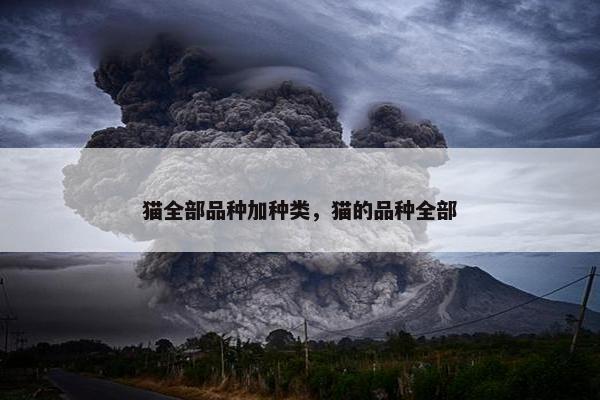 猫全部品种加种类，猫的品种全部