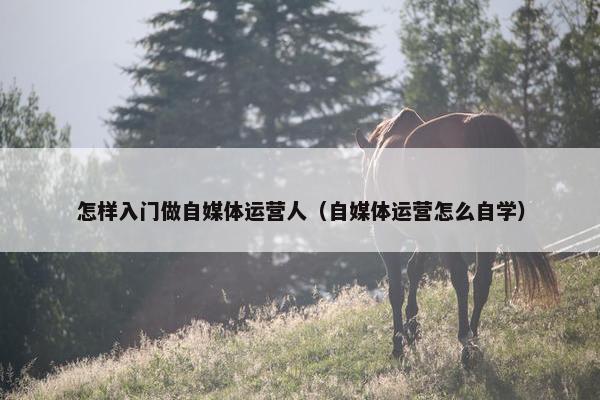怎样入门做自媒体运营人（自媒体运营怎么自学）