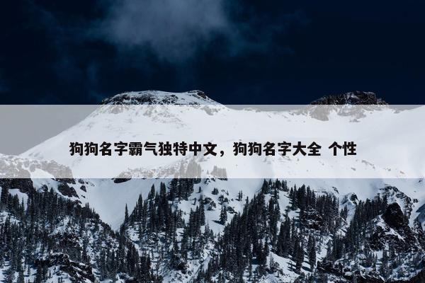 狗狗名字霸气独特中文，狗狗名字大全 个性