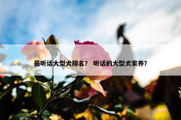 最听话大型犬排名？ 听话的大型犬家养？