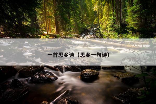 一首思乡诗（思乡一句诗）