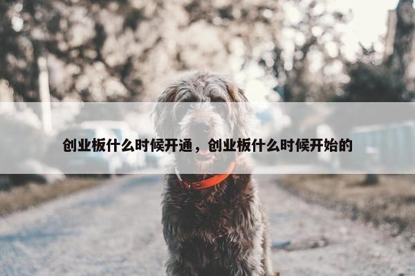 创业板什么时候开通，创业板什么时候开始的