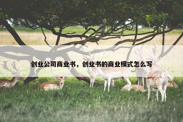 创业公司商业书，创业书的商业模式怎么写