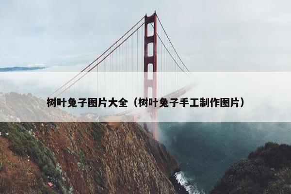 树叶兔子图片大全（树叶兔子手工制作图片）