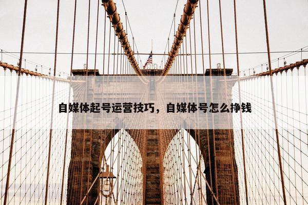 自媒体起号运营技巧，自媒体号怎么挣钱