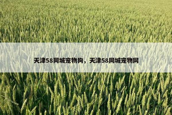 天津58同城宠物狗，天津58同城宠物网