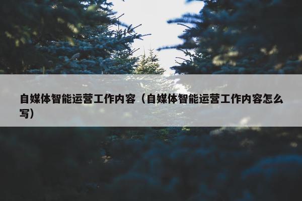 自媒体智能运营工作内容（自媒体智能运营工作内容怎么写）