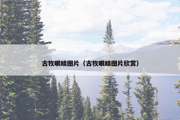 古牧眼睛图片（古牧眼睛图片欣赏）
