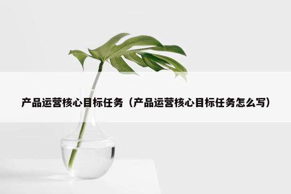 产品运营核心目标任务（产品运营核心目标任务怎么写）